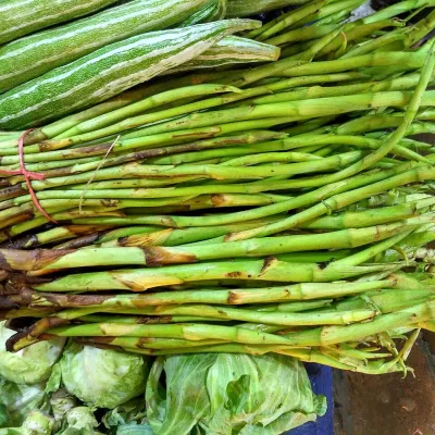 Taro Stolons (Kochur Loti)