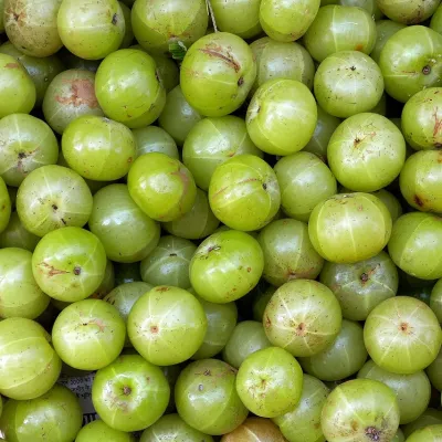 Fresh Indian Gooseberry (Amloki / Amla)