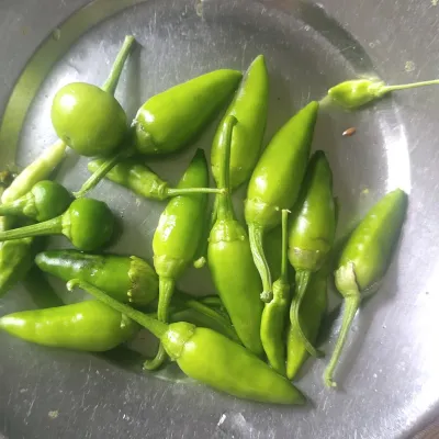 Spicy Dark Green Chilli (Kancha Lonka)