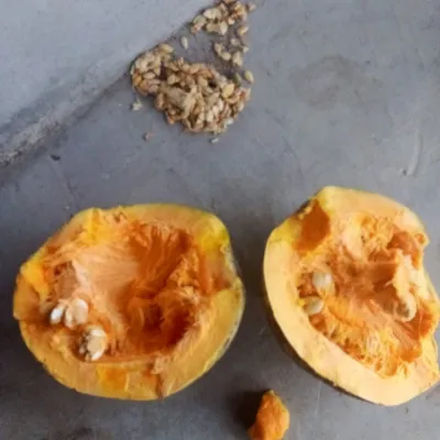 Sweet Yellow Pumpkin Slice (Mishti Kumro)