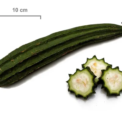 Tender Ridge Gourd (Jhinge)