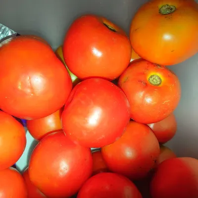 Desi Ripe Red Tomato