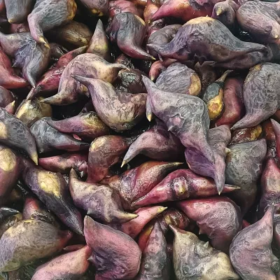 Fresh Water Chestnut (Paniphal / Singhara)