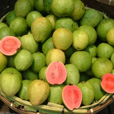 Baruipur Crunch Guava (Desi Peyara)