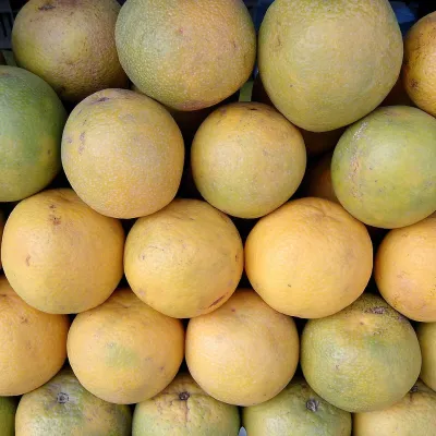 Juicy Sweet Lime (Mosambi)