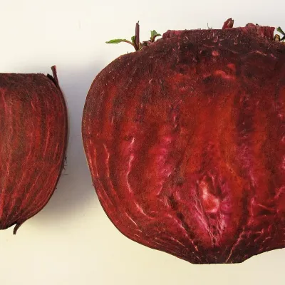 Fresh Beetroot (Beet)