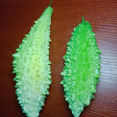 Small Bitter Gourd (Ucche / Korola)
