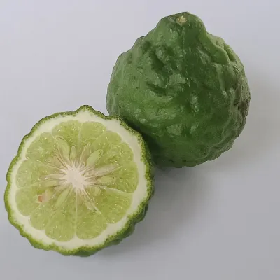 Bengal Aromatic Gondhoraj Lemon (Gondhoraj Lebu)