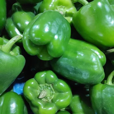 Crisp Green Capsicum (Shimla Mirch)