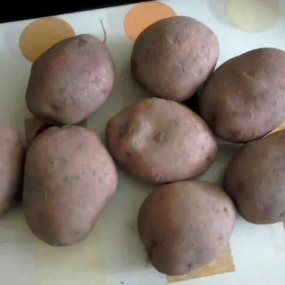 Nadia Fresh Jyoti Potato (Alu)
