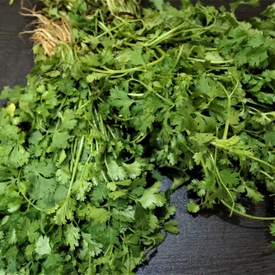 Fresh Aromatic Coriander Leaves (Dhone Pata)