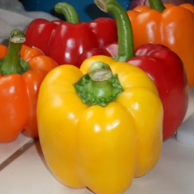 Red & Yellow Sweet Bell Pepper Combo